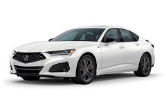 TLX 2021+