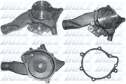   () DOLZ M656