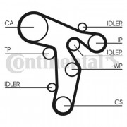     CONTITECH CT1139WP6