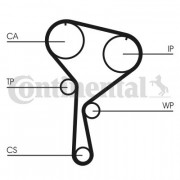     CONTITECH CT1035WP1