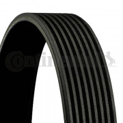   () CONTITECH 8PK1795