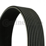   () CONTITECH 10PK1768