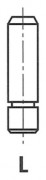   FRECCIA G11221
