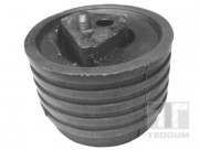   TEDGUM 00614322