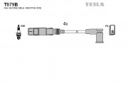     TESLA T079B