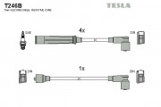     TESLA T246B