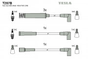     TESLA T287B
