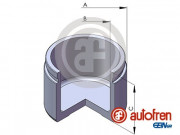   AUTOFREN D02541