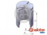   AUTOFREN D02525