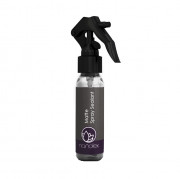  -    Nanolex Matte Spray Sealant NXMPS001 (100)