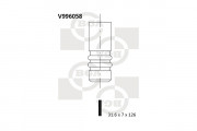   BGA V996058