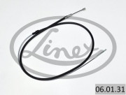   ()  LINEX 06.01.31