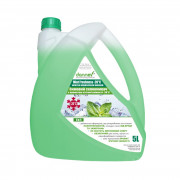 Жидкость для стеклоомывателя с ароматом мятной свежести Dannev Mint Freshness 024240.23 / 024241.75 до -20°C (Зима)