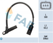   FAE 79381