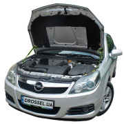 Амортизаторы капота (газовые упоры капота) Euro-Upor EU-OP-VEC-03R-2 для Opel Vectra C (2005-2008) 2шт