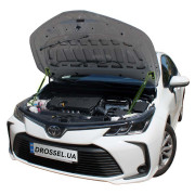 Амортизаторы капота (газовые упоры капота) Euro-Upor EU-TO-COR-12-2 для Toyota Corolla 12 (2018+) 2шт