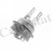    CALORSTAT by Vernet TS2869