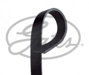  ()  GATES 7PK1051SF