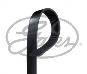 Поліклиновий ремінь (генератора) GATES 8PK1162EST