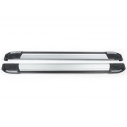 Боковые пороги (подножки) Chery Tiggo (2005-2014), 3 (2014+) / Toyota RAV4 (XA20) 2001-2005 Erkul Rainbow brr003+rai163 (2шт)