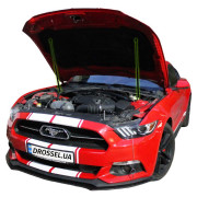  (  ) Euro-Upor EU-FO-MUS-06-2  Ford Mustang 6 (2015-2017) 2