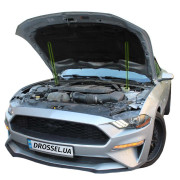 Амортизаторы капота (газовые упоры капота) Euro-Upor EU-FO-MUS-06R-2 для Ford Mustang 6 (2017-2022) 2шт