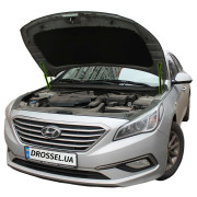 Амортизатори капота (газові упори капота) Euro-Upor EU-HY-SON-07-2 для Hyundai Sonata (LF) 2015-2018 (2шт)
