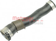   METZGER 2400304