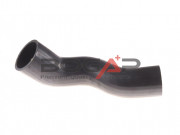   BOGAP C1711148