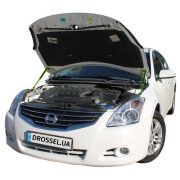 Амортизаторы капота (газовые упоры капота) Euro-Upor EU-NI-ALT-04-2 для Nissan Altima 4 (2007-2013) 2шт