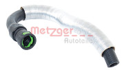   METZGER 2420074