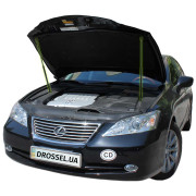 Амортизаторы капота (газовые упоры капота) Euro-Upor EU-LE-ES-40-2 для Lexus ES 40 (2006-2012) 2шт