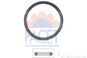   FACET 7.9675