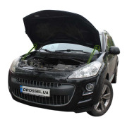   (  ) Euro-Upor EU-PE-4007-01-2  Peugeot 4007 (2007-2012) 2