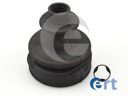   ERT 500319