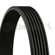  ()  CONTITECH 6PK1124ELAST