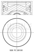  MAHLE 028 PI 00100 000