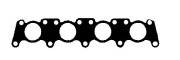    BGA MG4516