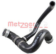   METZGER 2420965