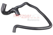   METZGER 2420930