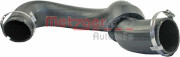   METZGER 2400218