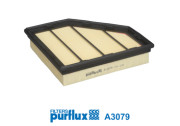 Գ  PURFLUX A3079