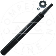  AIC 52593