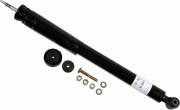  SACHS 317 261
