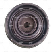  CTR GA0031