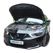 Амортизаторы капота (газовые упоры капота) Euro-Upor EU-NI-MAX-08-2 для Nissan Maxima (A36) 2015-2023 (2шт)