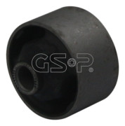  GSP 513234