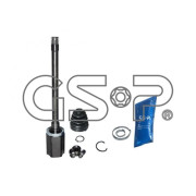  GSP 605067
