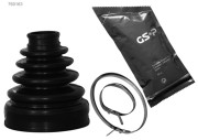   GSP 760163
