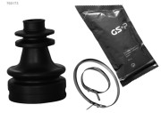  GSP 760173